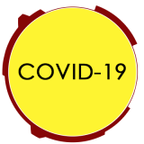 Désinfection Voiture Covid-19